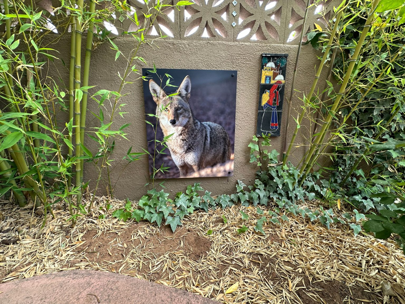 Sedona-Sign-Company-Coyote-Outdoor-Patio-Printed-Aluminum-Wall-Mural-29