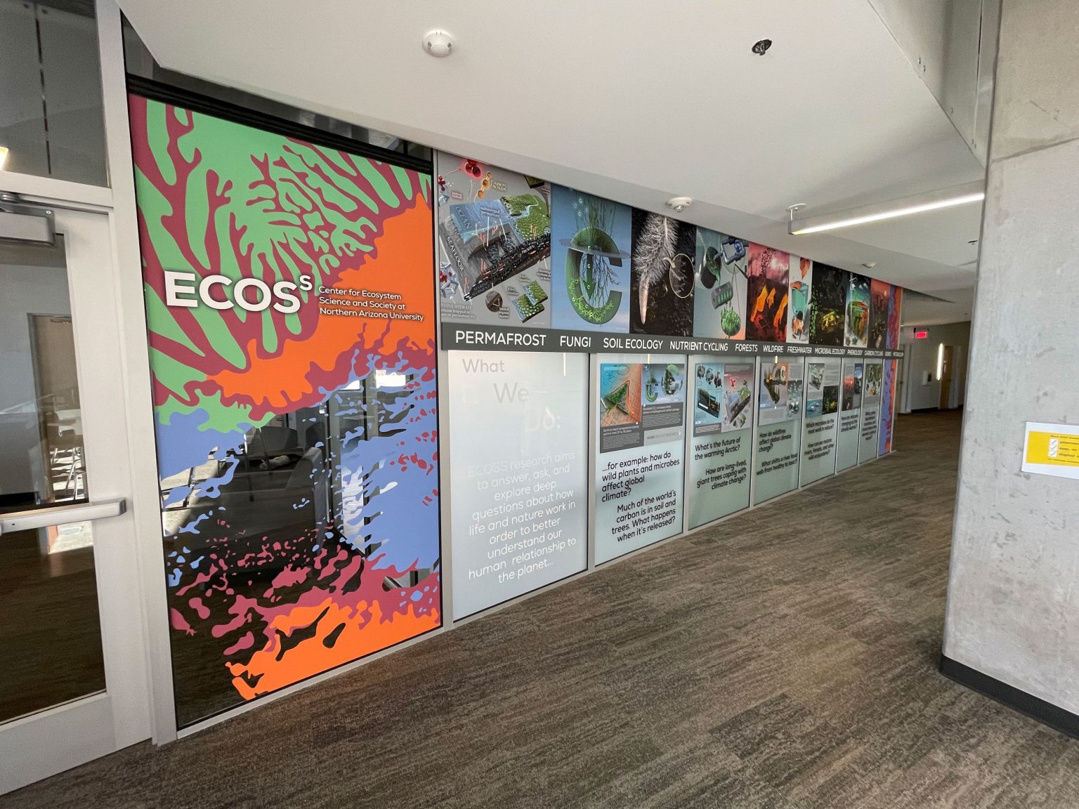 Sedona-Sign-Company-NAU-Window-Mural-Window-Graphics-33